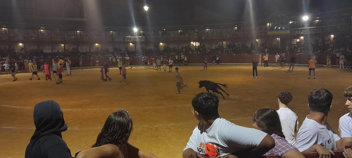 GALERÍA | La verbena taurina de las Fiestas de San Agustín de Toro, en imágenes GALERÍA | La verbena taurina de las Fiestas de San Agustín de Toro, en imágenes