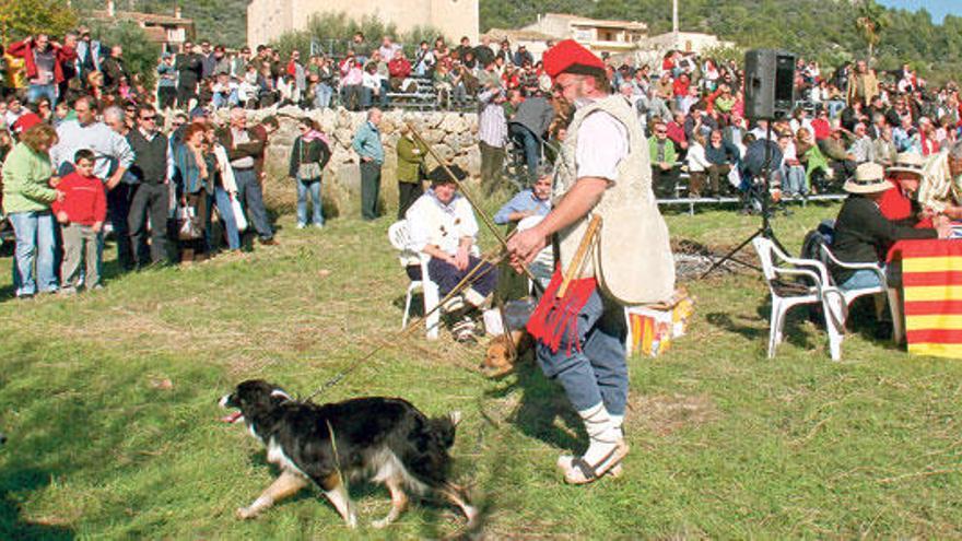 Una demostración con perros durante una feria en Caimari, en el municipio de Selva.