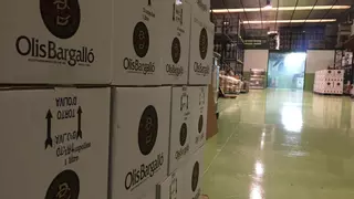 Olis Bargalló denuncia el robo de 10.000 litros de aceite de oliva en su almacén de Castellví de Rosanes