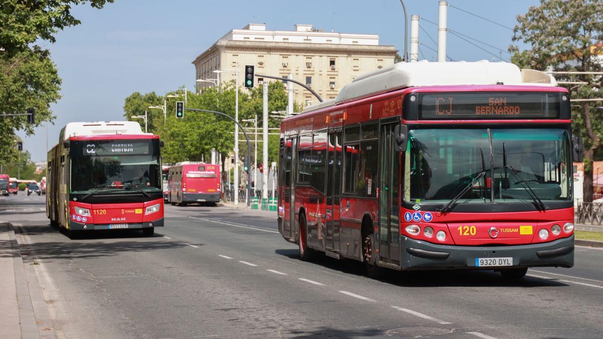 Autobuses de Tussam circulan con fluidez en una avenida de Sevilla