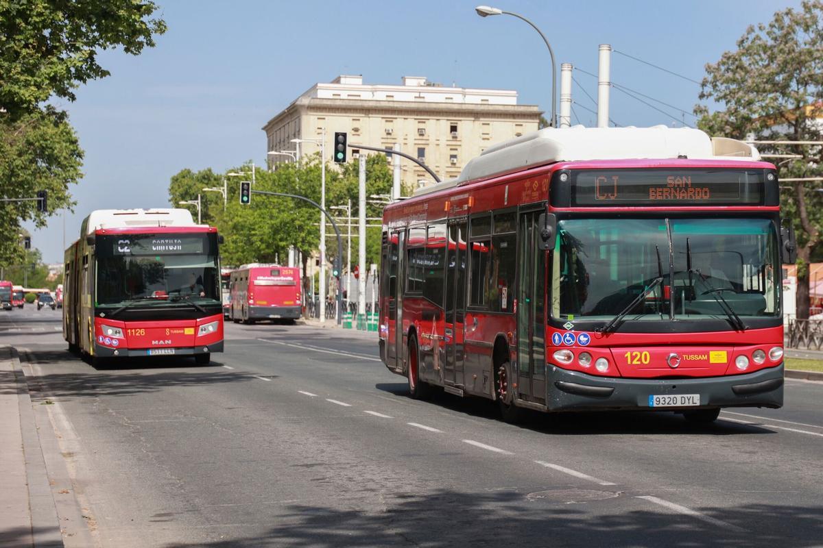 29/04/2025 Autobuses de Tussam circulan con fluidez en una avenida de Sevilla. A 29 de abril de 2025 en Sevilla, Andalucía (España). Tras el inesperado apagón que dejó sin suministro eléctrico a el país en la jornada de ayer, Sevilla ha recuperado la normalidad durante la mañana de hoy. Las autoridades han confirmado que los servicios esenciales funcionan con total regularidad. POLITICA Rocío Ruz - Europa Press