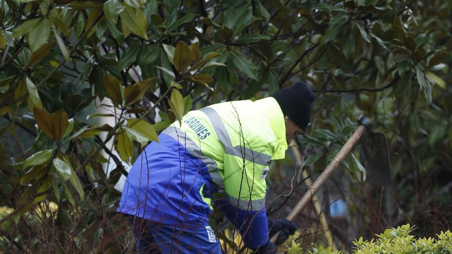 Un juez avala una prima de jubilación anticipada de 6.500 euros a un jardinero municipal