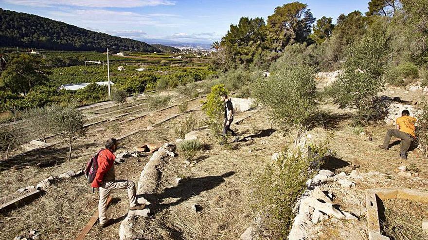 Una estación polinizadora garantizará flores durante todo el año en La Casella