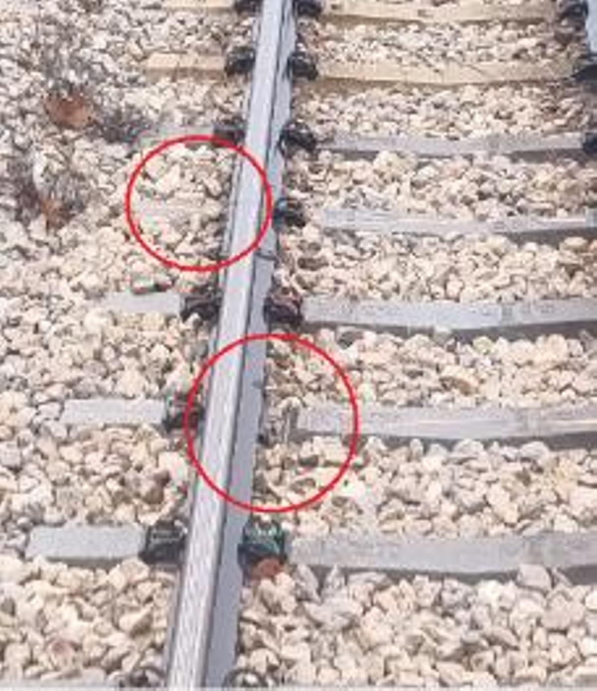 Las imágenes aportadas por los trabajadores en su denuncia pública