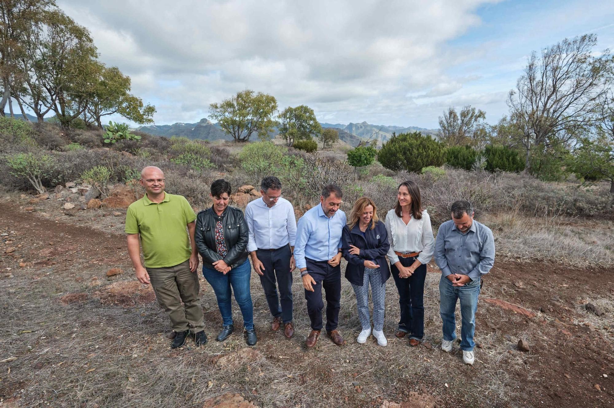 Recuperación ambiental en el Parque de Las Mesas