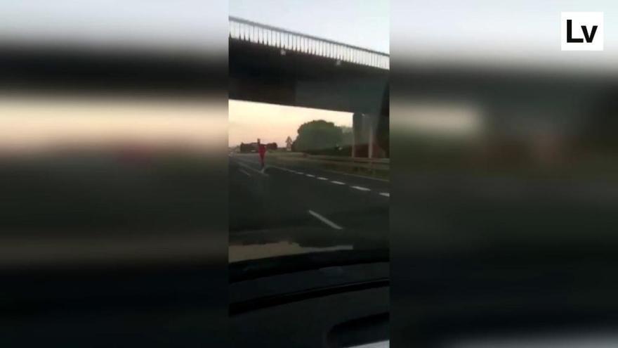 Circula en patinete por la autovía en Sagunt con un niño a bordo