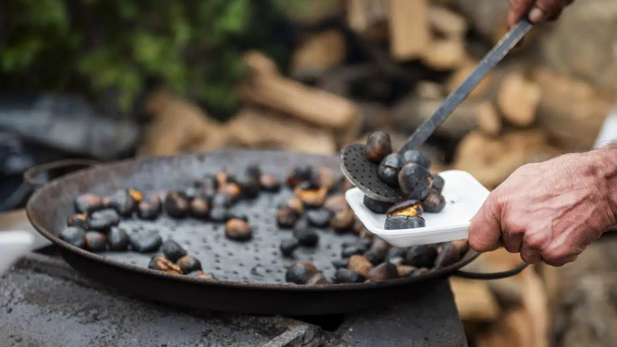 Pujerra celebra este fin de semana su tradicional Fiesta de la Castaña: con degustaciones, actuaciones y pasacalles