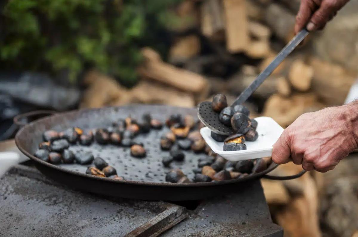 Pujerra celebra este fin de semana su tradicional Fiesta de la Castaña: con degustaciones, actuaciones y pasacalles