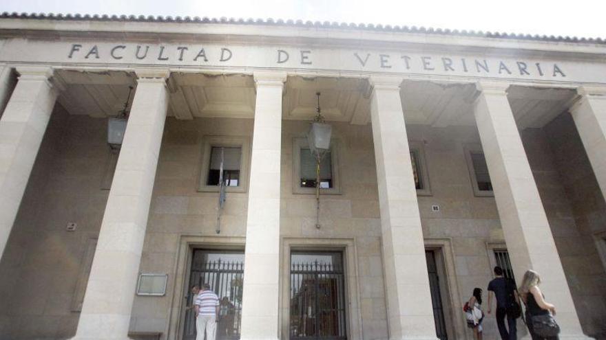 La Facultad de Veterinaria de la UZ recibe el sello de calidad en docencia reconocido a nivel mundial