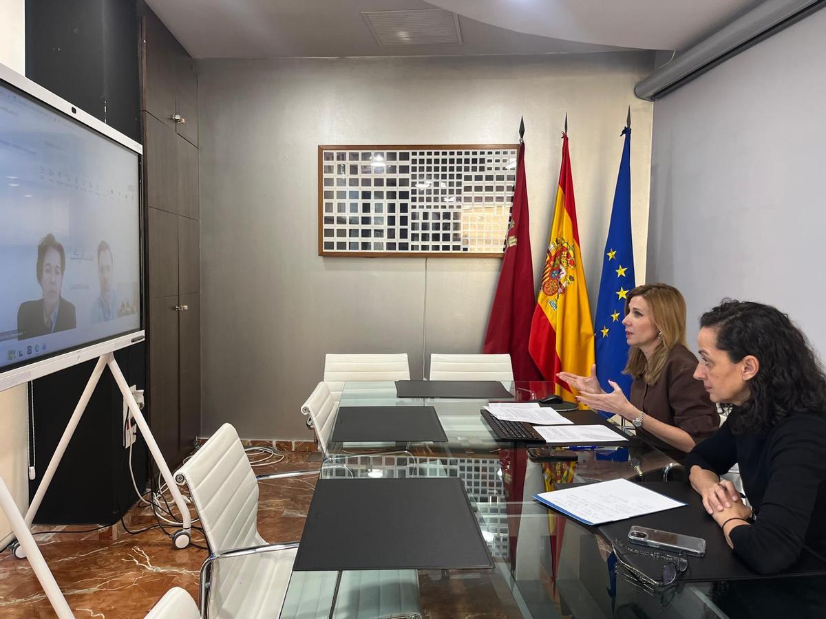 La consejera de Empresa, Empleo y Economía Social, Marisa López Aragón, junto con la secretaria general de la Consejería, Ana Losantos, durante el encuentro telemático.