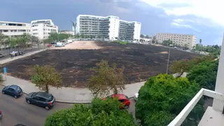 Las llamas arrasan un descampado en Fuente de la Salud en Córdoba y se quedan a pocos metros de los coches aparcados