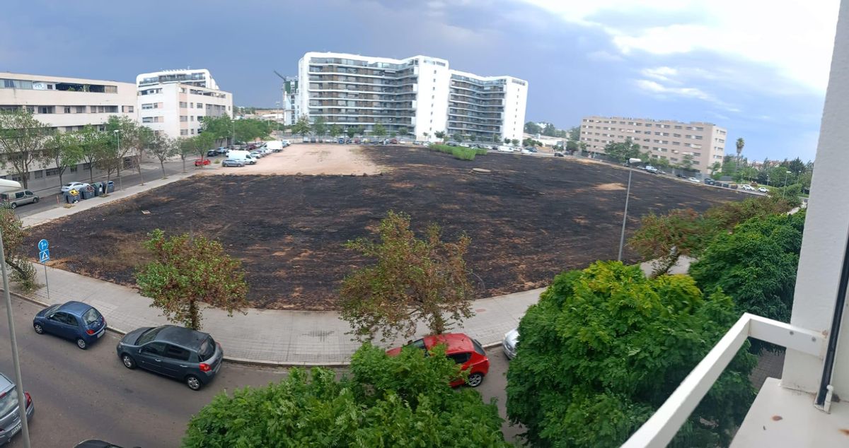 Aspecto del solar arrasado por el fuego en Fuente de la Salud.