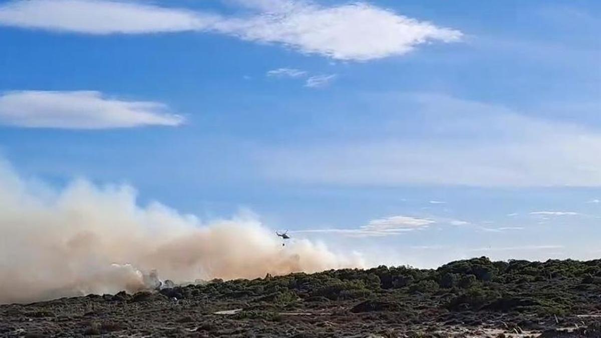 Medios aéreos descargan para sofocar las llamas del incendio de El Saler