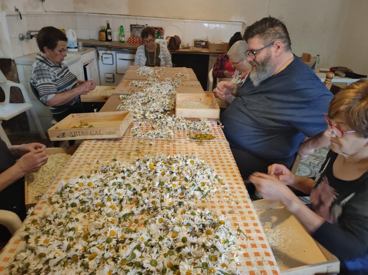 Los alfombristas trabajando en la cocina de Villa Rosita.