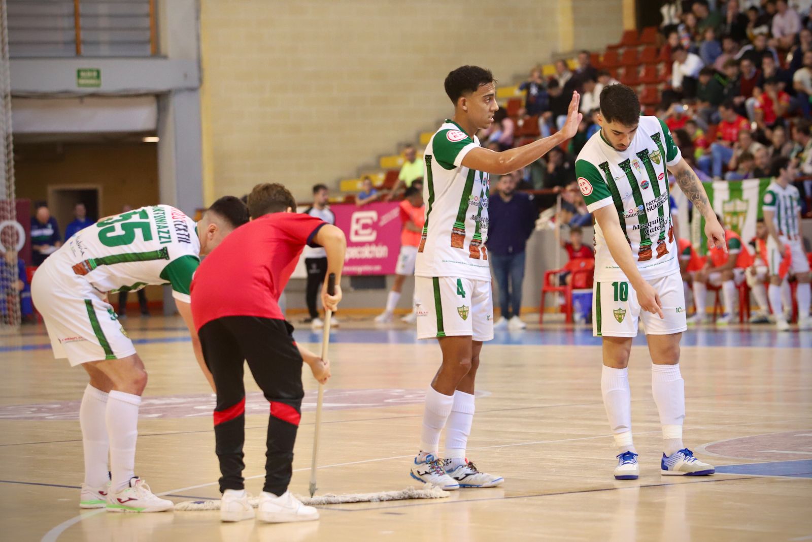 Córdoba Futsal - Manzanares : el partido en Vista Alegre en imágenes