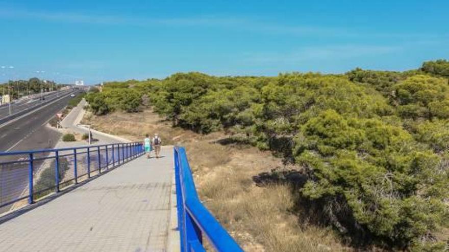 Imagen de la zona desde la que parte la senda hacia la playa del Campico desde la N-332.