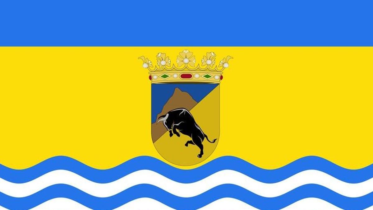 Proyecto del escudo y bandera de Guarrate