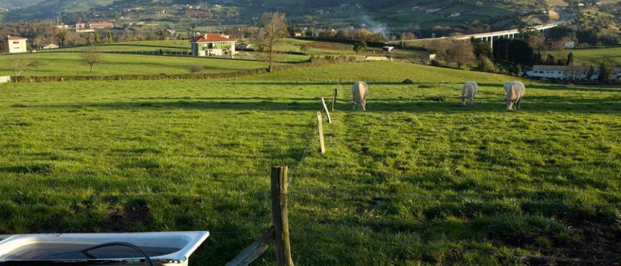 Fincas en San Martín de Huerces.