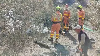 "En 2012 hubo un incendio similar y estos últimos años hemos pedido varias veces que limpiaran el barranco"