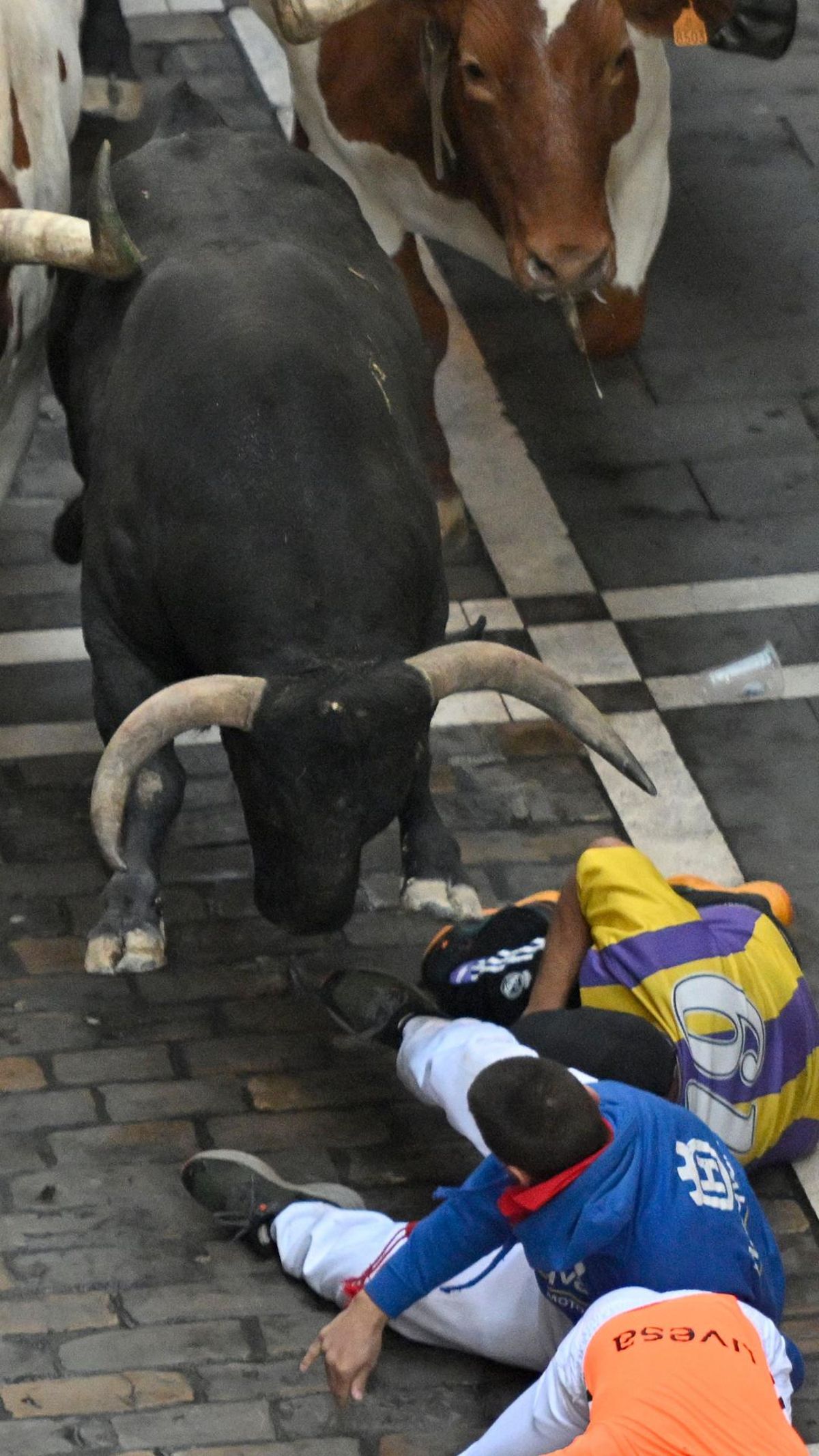 Octavo y último encierro de San Fermín con toros de la ganadería Miura