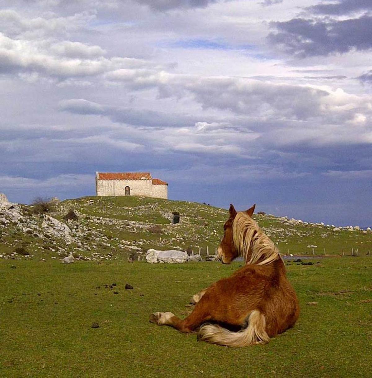 Los veinte mil pasos al Monsacro