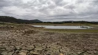 El Consejo de Ministros se reunirá de urgencia para aprobar nuevas medidas para afrontar la sequía