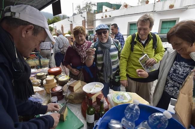 Día del turista en la "Ruta del almendrero en ...