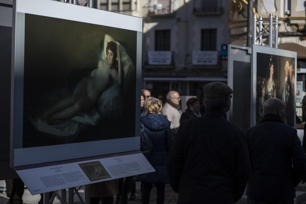 Exposición El Museo del Prado en Zamora