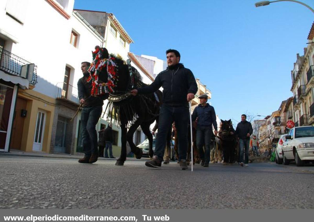 GALERÍA DE FOTOS -- Sant Antoni en la comarca de Els Ports