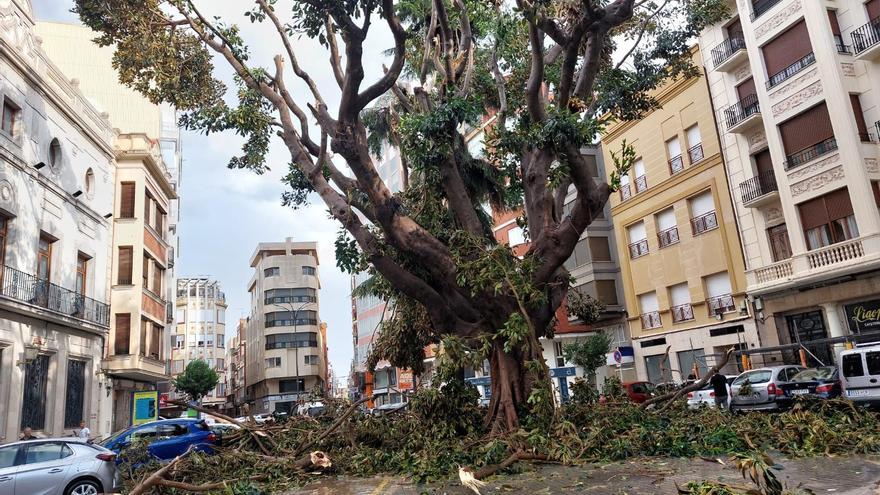 Caos en Burriana