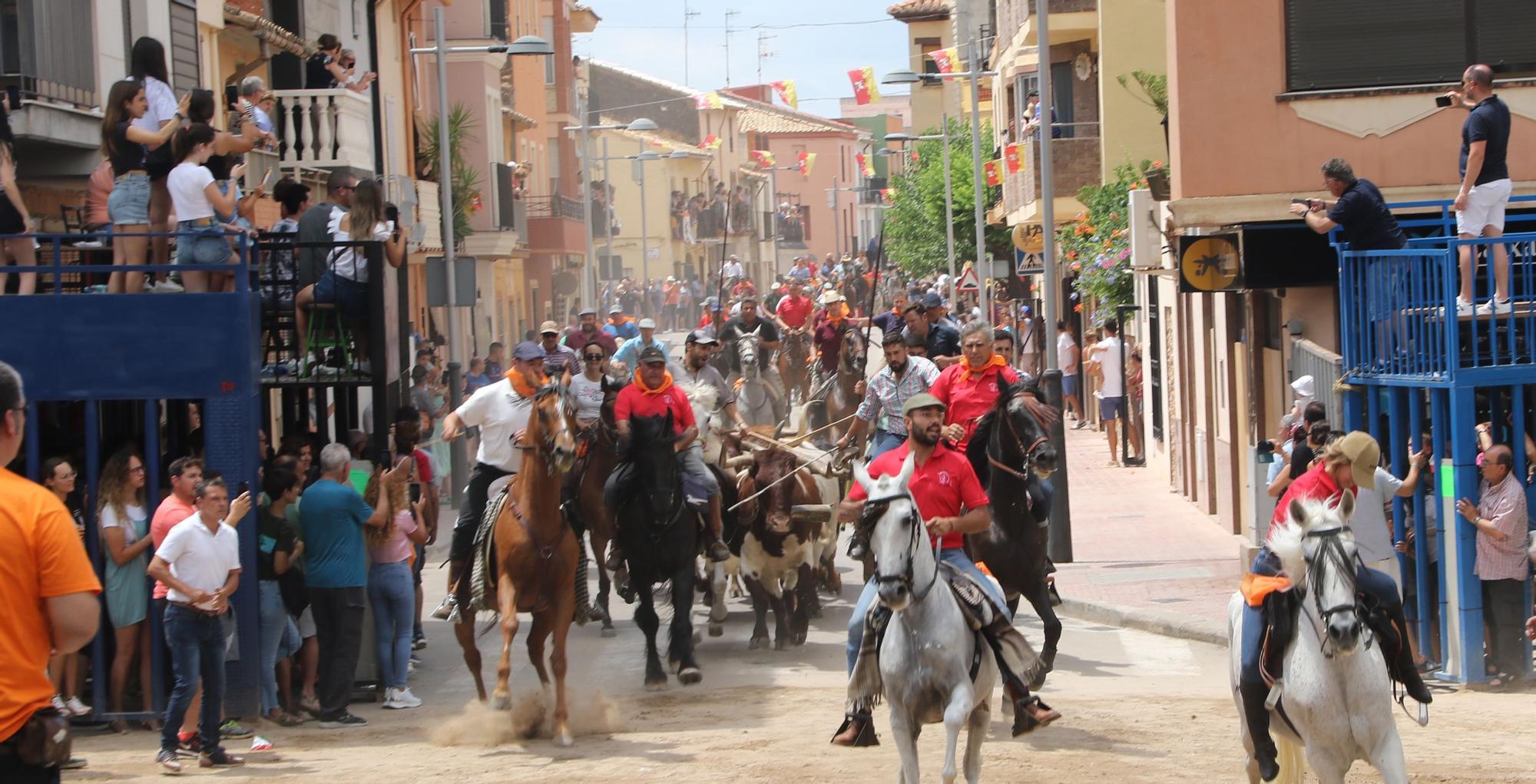 Revive el encierro campero de Sant Joan de Moró