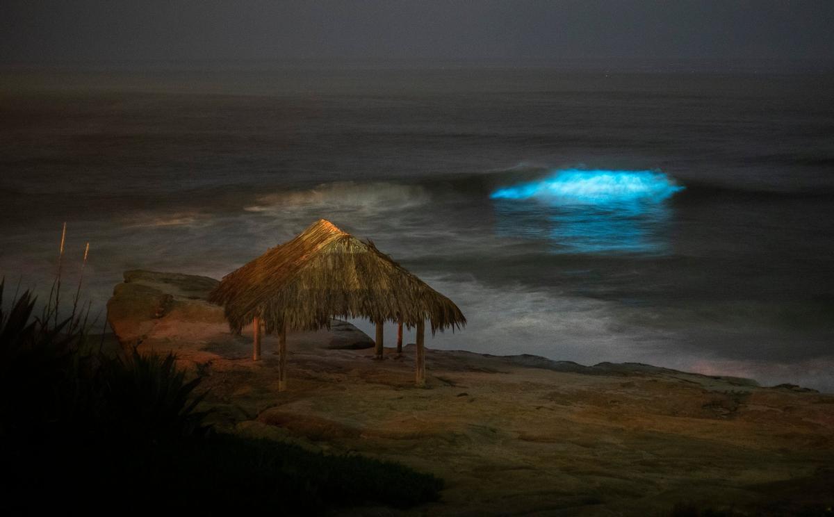 Olas bioluminiscentes en la Jolla Shores, San Diego