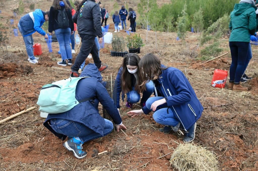 Carmen y la corte se suman a la "plantà verda" de las Fallas