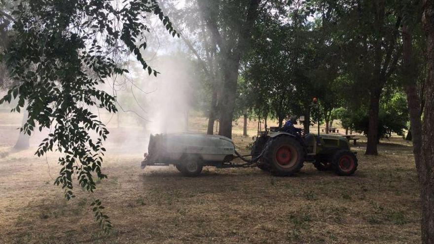 Fraga pide ayuda a la comarca del Bajo Cinca para reducir la mosca negra