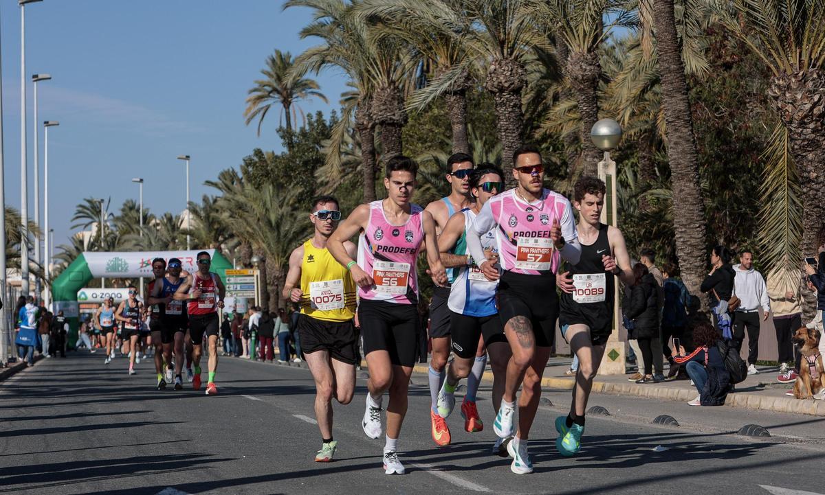 ¿Has corrido en la Media Maratón de Elche? Búscate aquí ¿Has corrido en la Media Maratón de Elche? Búscate aquí