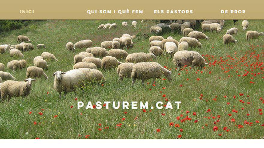 Captura de pantalla del web pasturem.cat.