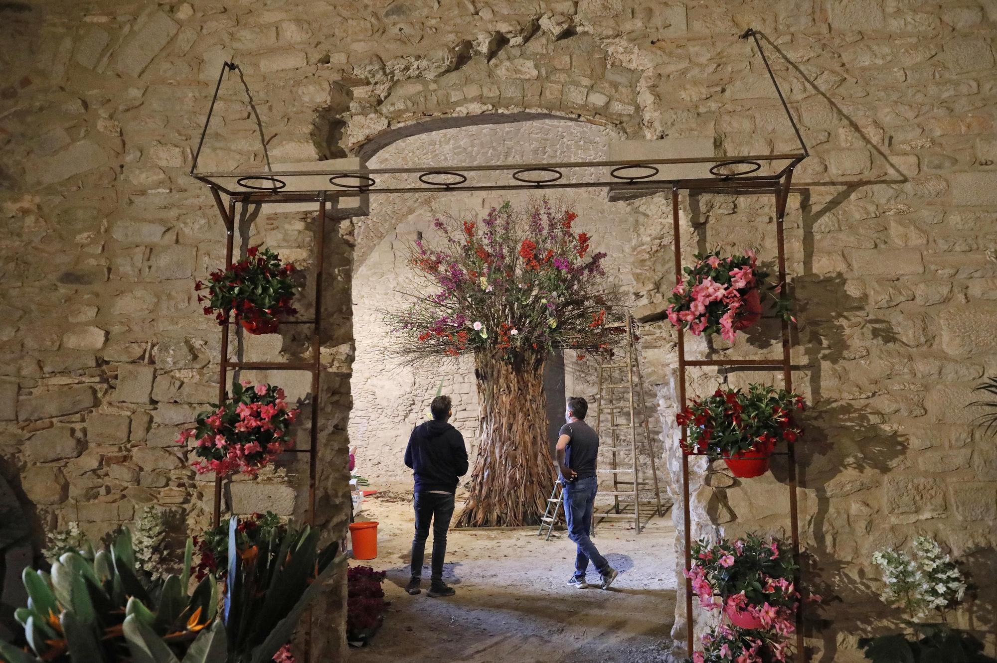 Així és el muntatge de Temps de Flors del soterrani de la catedral de Girona
