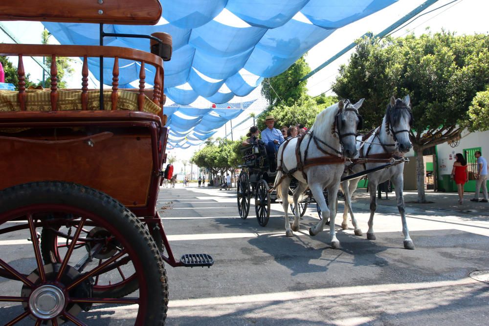 Caballos en el Real de la Feria