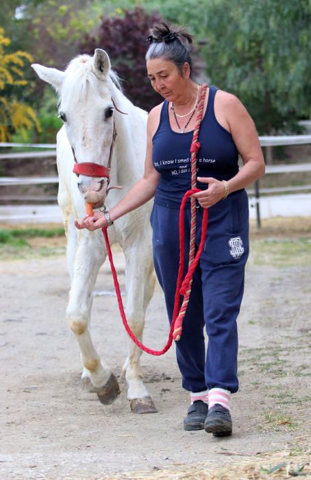 Santuario de caballos CYD Santa María en Alhaurín