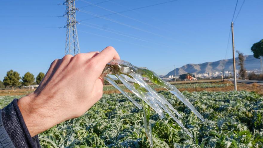 Las heladas están afectando al campo