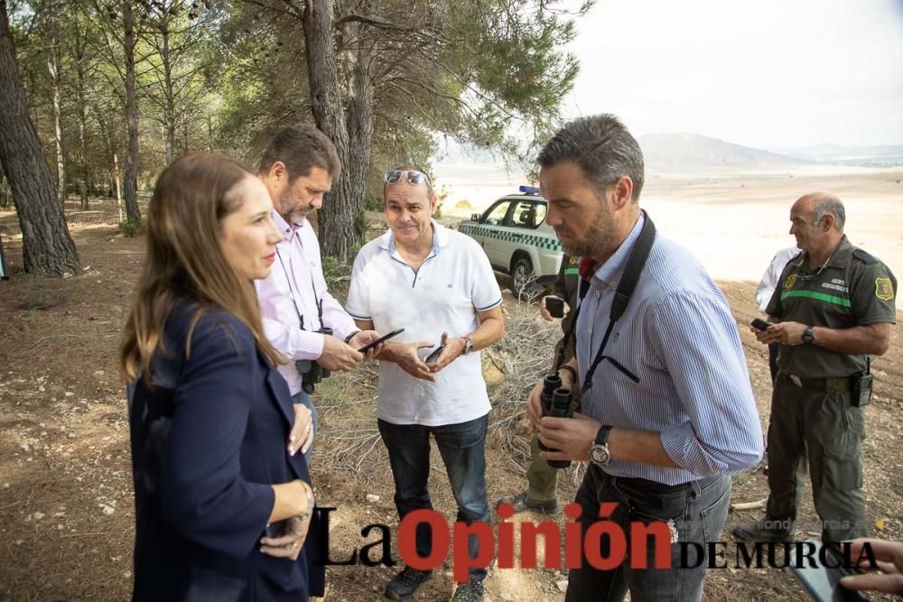 Liberan un Buitre Leonado en la Sierra de Mojantes