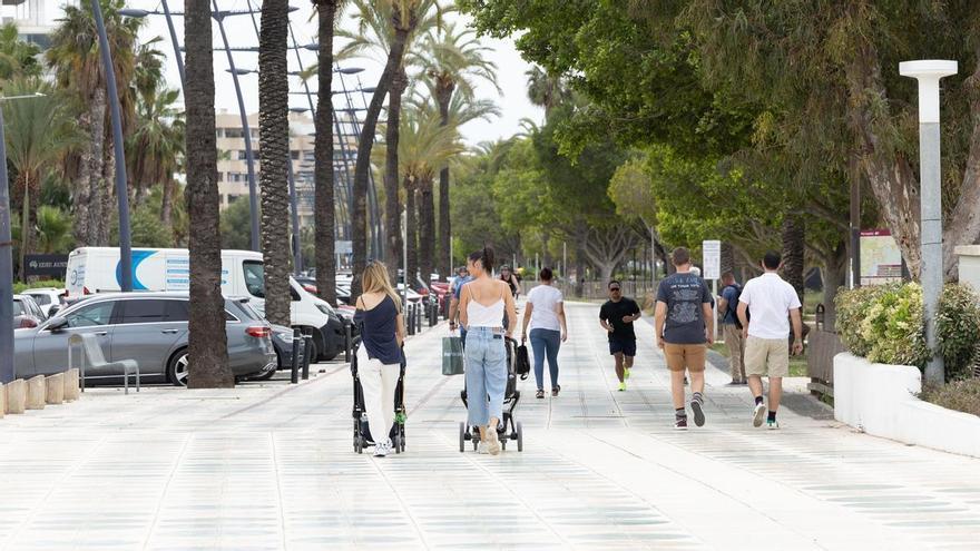 La APB prepara una "amplia consulta social" para uno de sus proyectos más ambiciosos en Ibiza