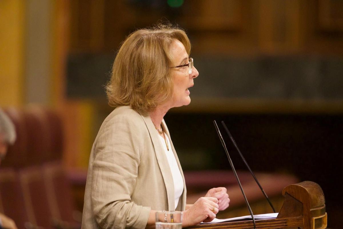 Lourdes Méndez en el Congreso
