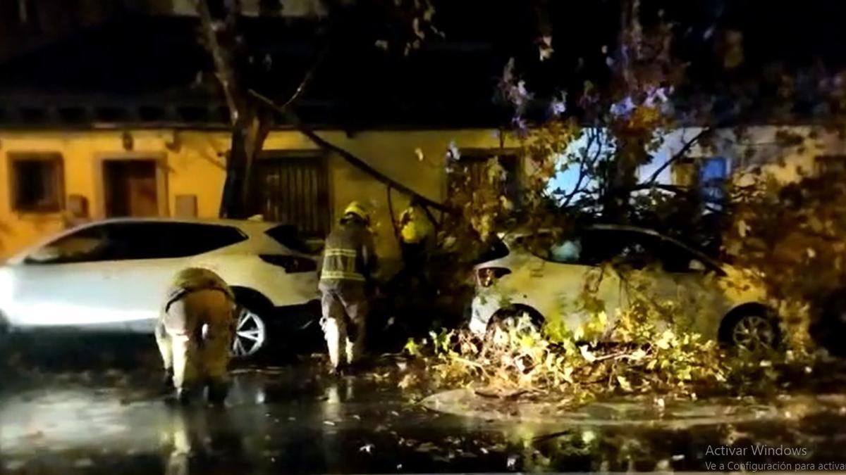 Actuación de los bomberos con una rama caída sobre un coche en Torrero.