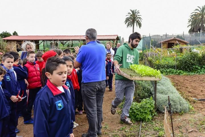 Visita escolar a la Granja Agricola del Cabildo