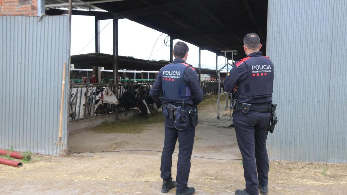 Dos Mossos en una granja de Parlavà en un dels patrullatges