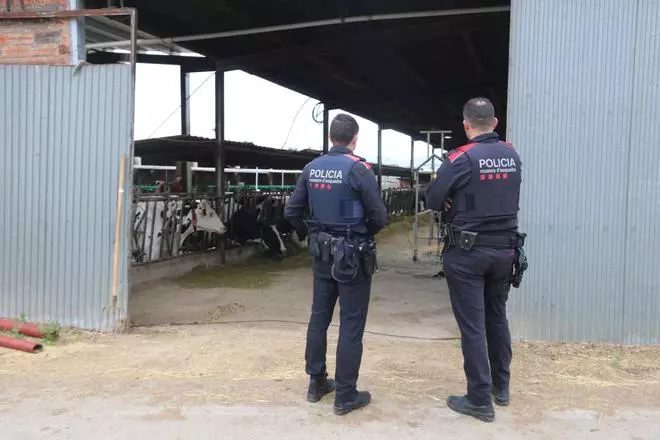 Vídeo: Mossos de proximitat: la Policia Local dels pobles petits del Baix Empordà