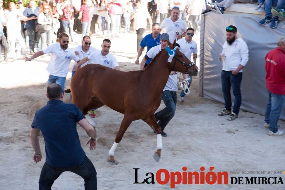 Día uno de mayo, entrada de caballos al Hoyo