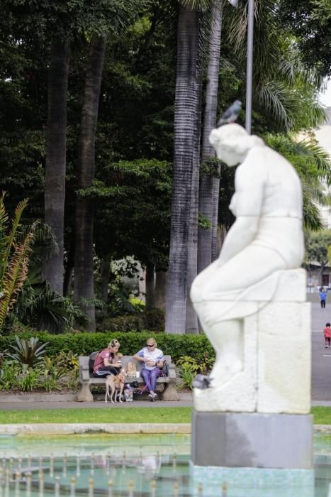 Paseos durante la celebración del Día de Canarias