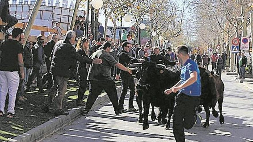 La recta final festiva en Benicàssim suma eventos taurinos